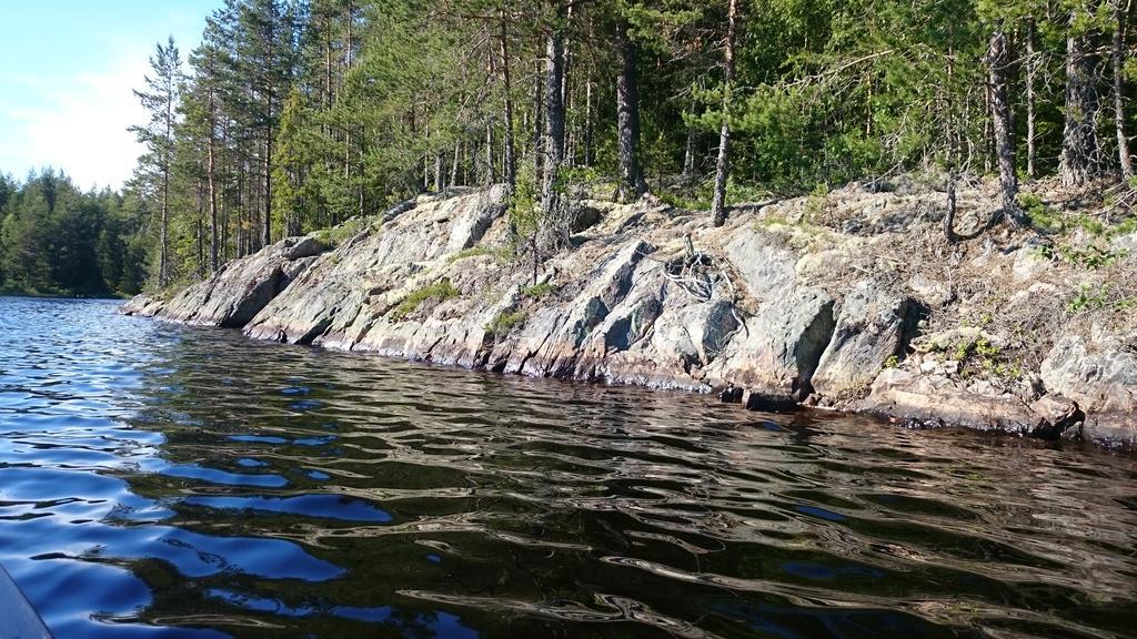 Vakantiehuis Lillstugan I Sverige Villa Gustavsstrom Eksteriør bilde